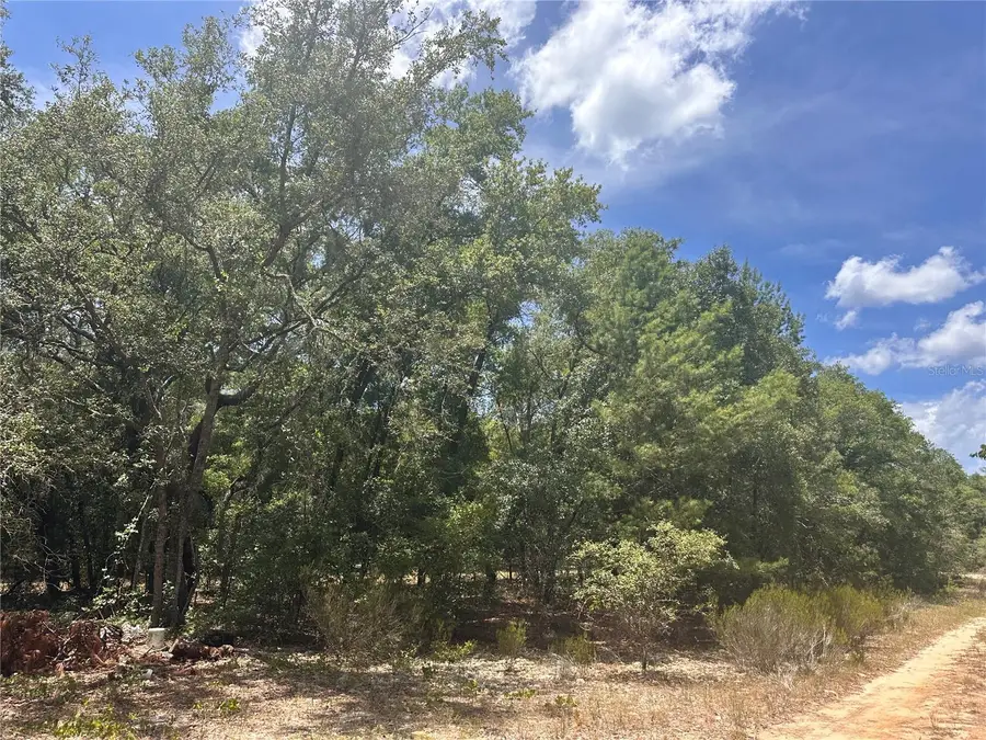 221 Indianapolis Street, Hawthorne, FL 32640 - Image #3