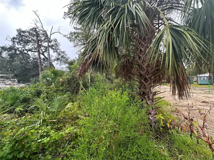 9 7th Street Ne, Steinhatchee, FL 32359 - Image #3