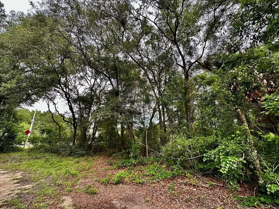 NW 76th Terrace, Chiefland, FL 32626 - Image #2