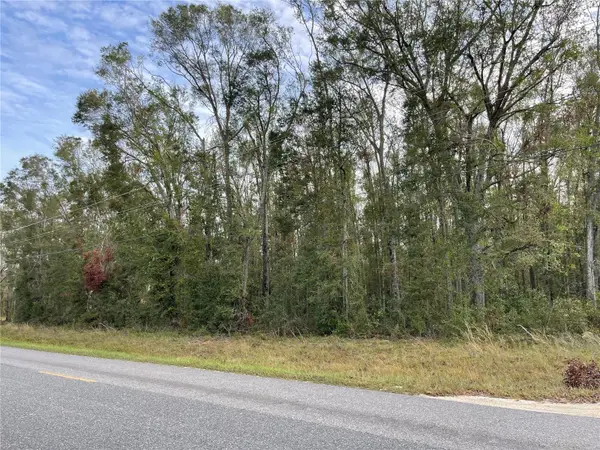 Tbd 165th Rd Road, MC ALPIN, FL 32062