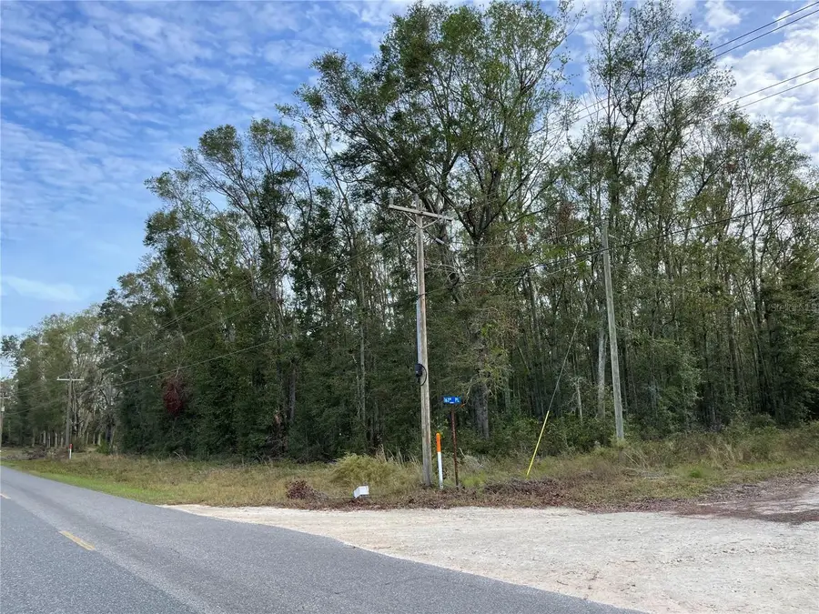 Tbd 165th Rd Road, Dowling Park, FL 32062 - Image #3