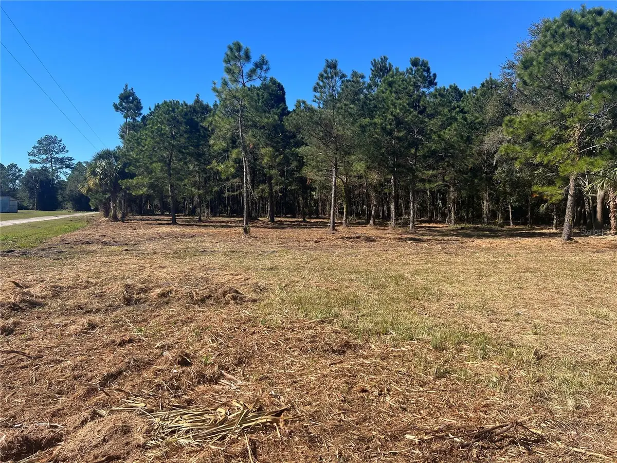 17802 Us-301, Waldo, FL 32694 - Image #1