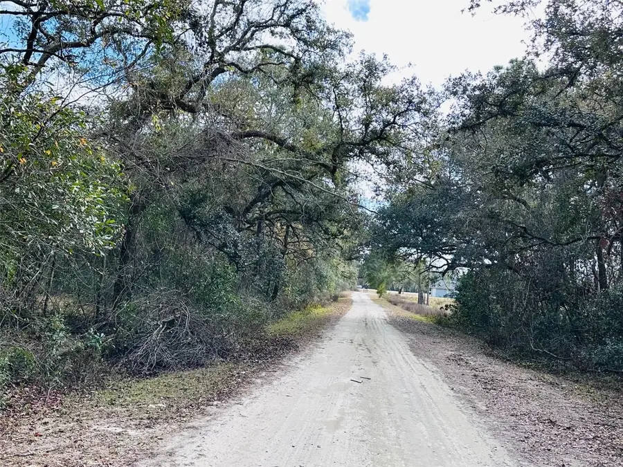 16151 NW 80th Court, Fanning Springs, FL 32693 - Image #2