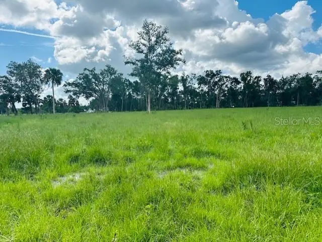 17450 SE Highway 19, Cross City, FL 32628 - Image #3