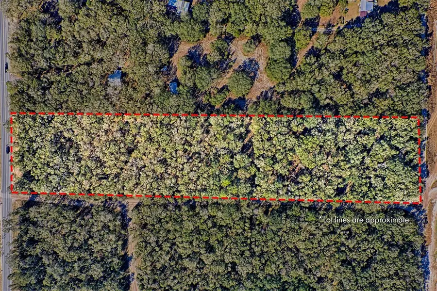 Us-129, Bell, FL 32619 - Image #3