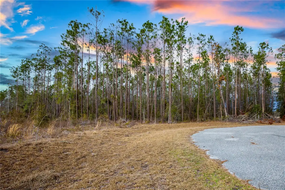 211th Court, Live Oak, FL 32060 - Image #1