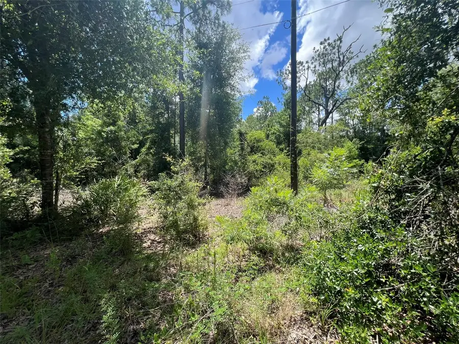 000 NE 822nd Street, Old Town, FL 32680 - Image #2