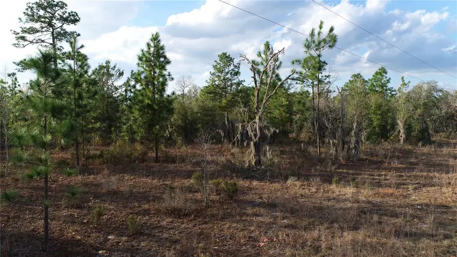 235 Michigan Drive, Hawthorne, FL 32640 - Image #3