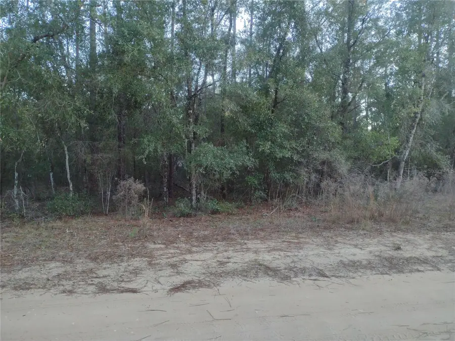 89 Tucker Lake Road, Melrose, FL 32666 - Image #3