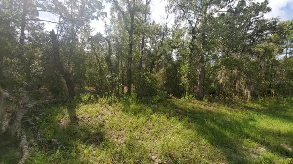 16009 SW 57th Terrace Road, OCALA, FL 34473