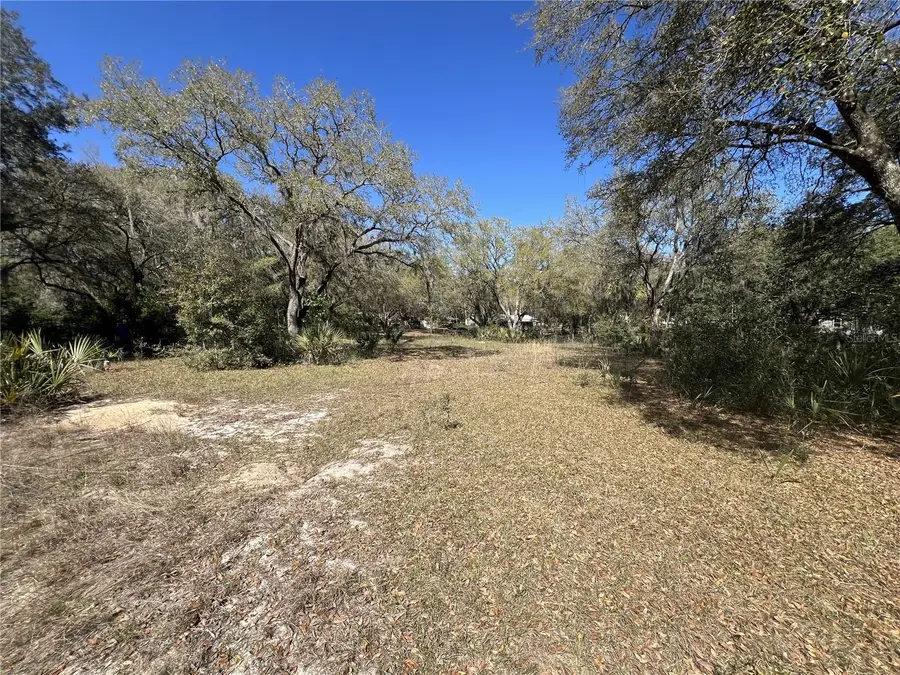 107 & 109 Dixie Street, Hawthorne, FL 32640 - Image #2