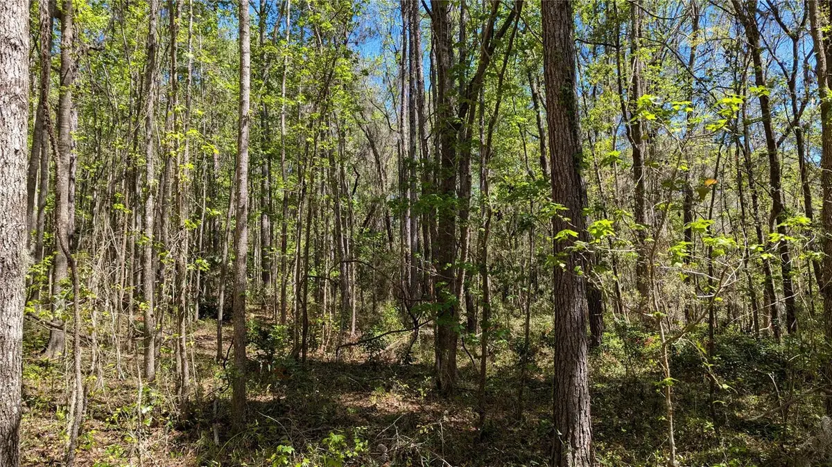 00 NW 35th Avenue, Gainesville, FL 32606 - Image #1