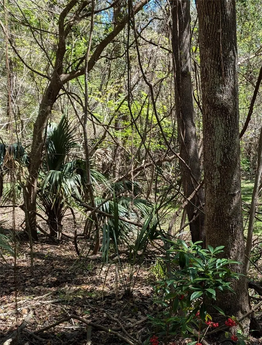 00 NW 35th Avenue, Gainesville, FL 32606 - Image #3