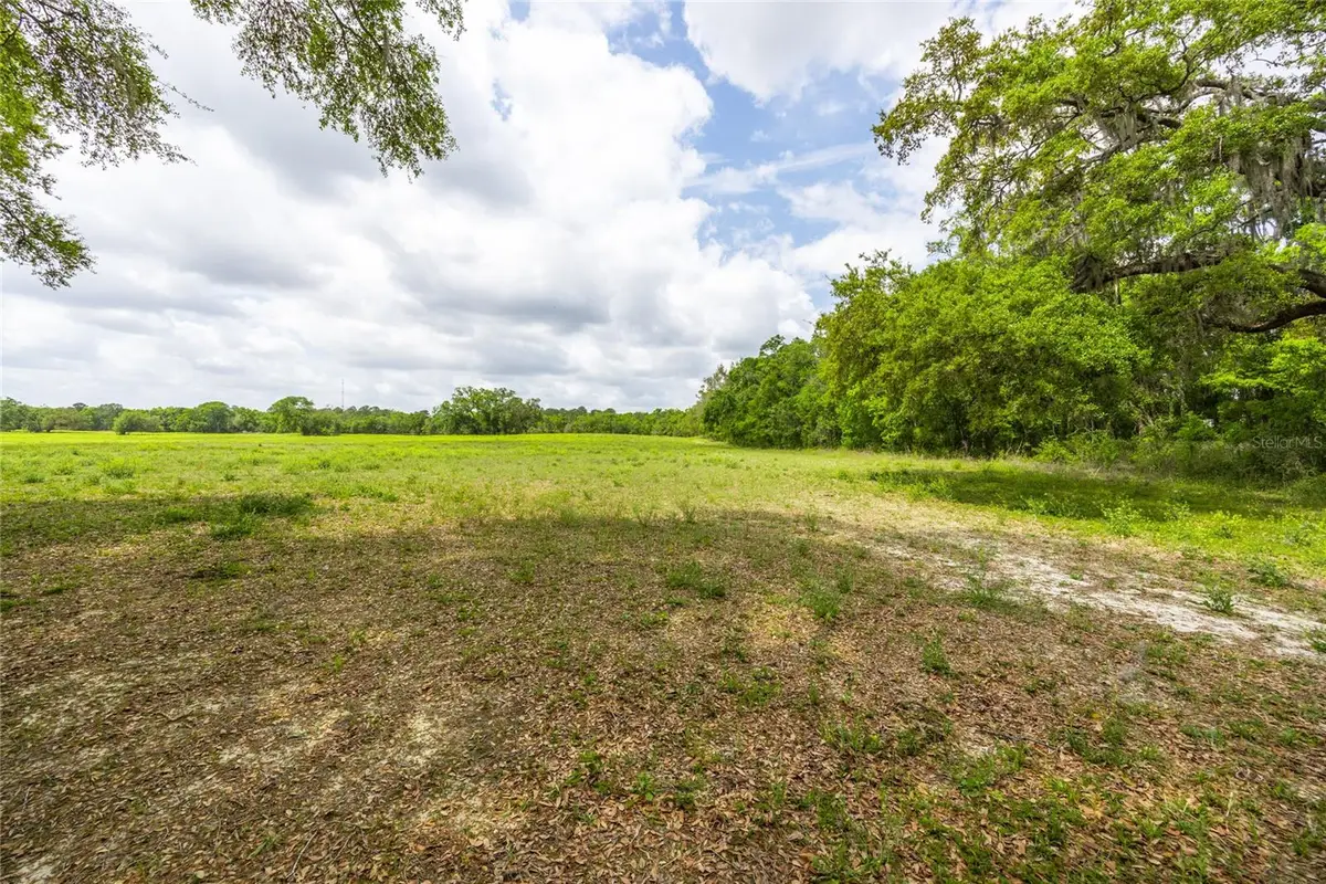 TBD SW 220th Drive, Newberry, FL 32669 - Image #1