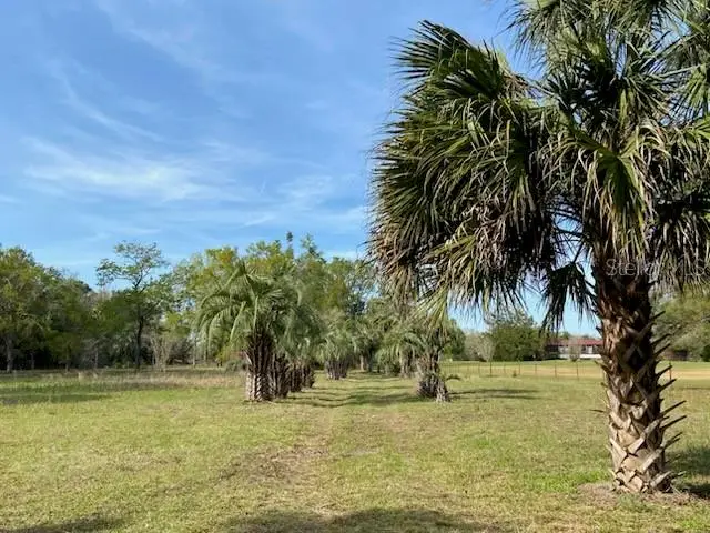 23206 NW 102 Nd Avenue, Alachua, FL 32615 - Image #2