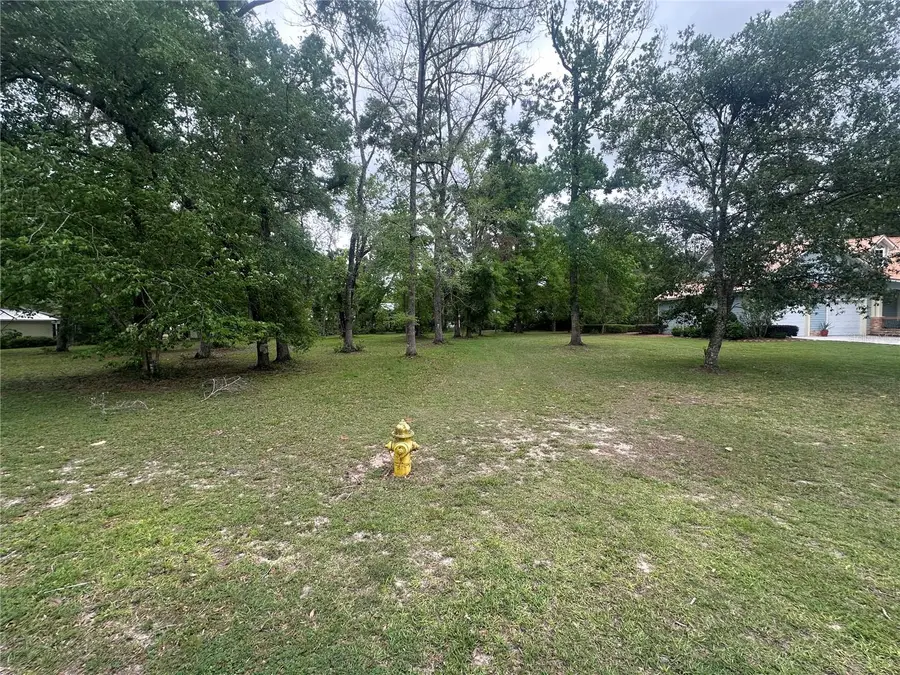 9220 Emily Drive, Fanning Springs, FL 32693 - Image #2