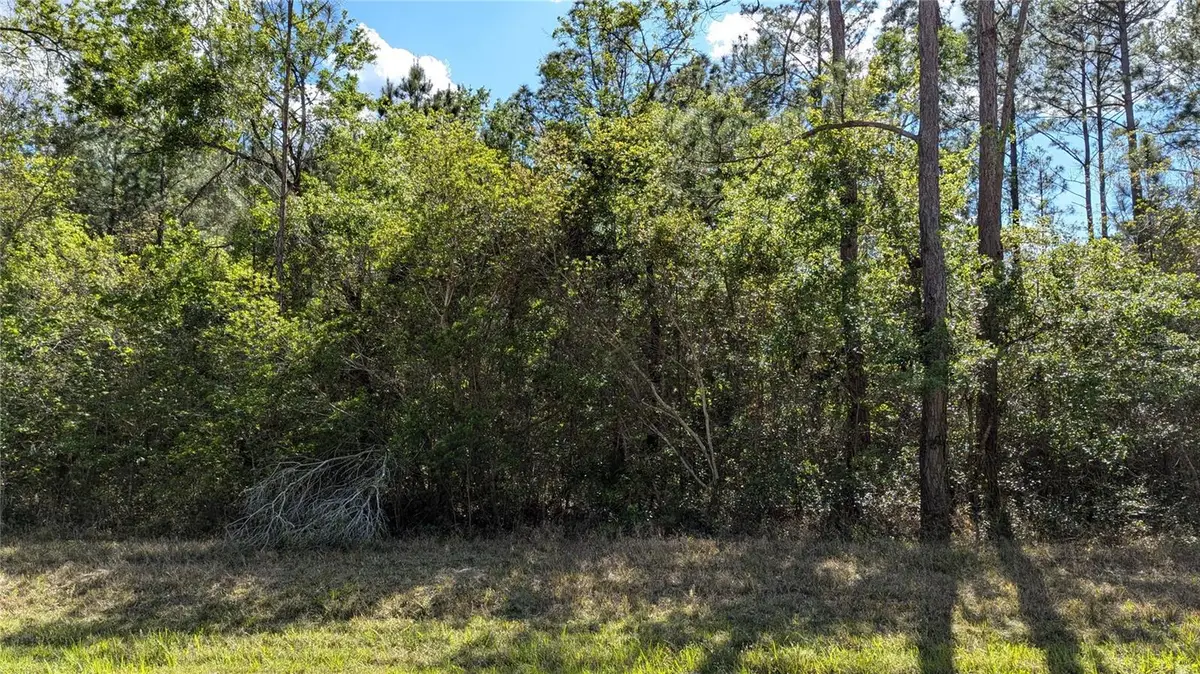 00 NE 108th Place, Waldo, FL 32694 - Image #1
