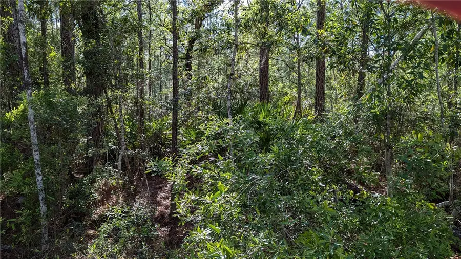 00 NE 108th Place, Waldo, FL 32694 - Image #3