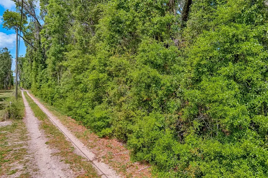 00 SW 157th Avenue, Archer, FL 32618 - Image #3