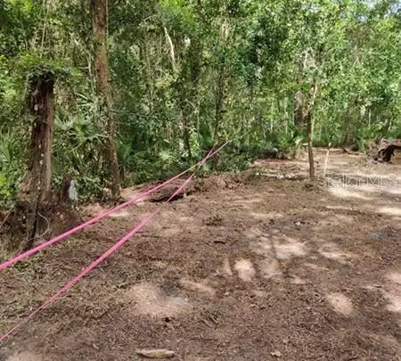 5212 NW 19th Street, Gainesville, FL 32653 - Image #3