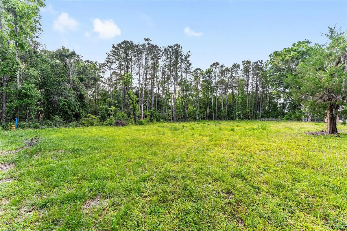 Unassigned Nw 164th Pl, Alachua, FL 32615 - Image #1