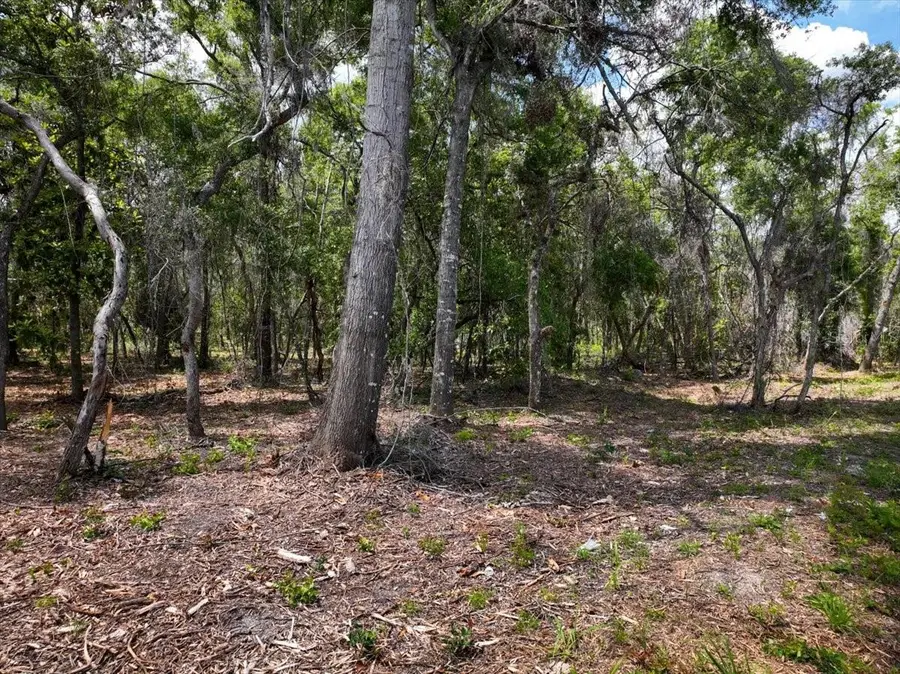 0000 NE 390th Street, Old Town, FL 32680 - Image #2