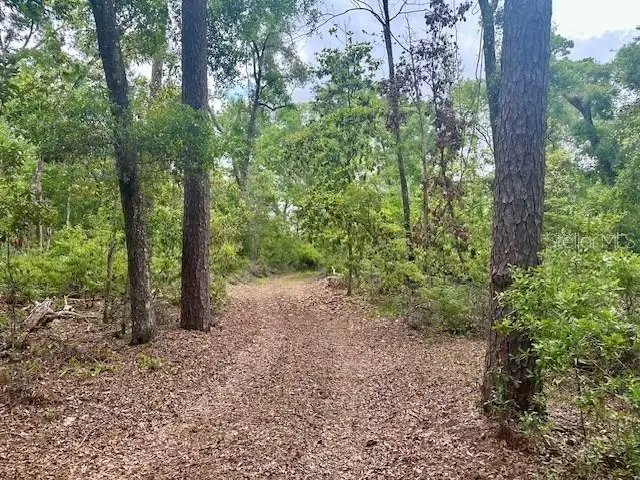 NE 22nd Court, Branford, FL 32008 - Image #3