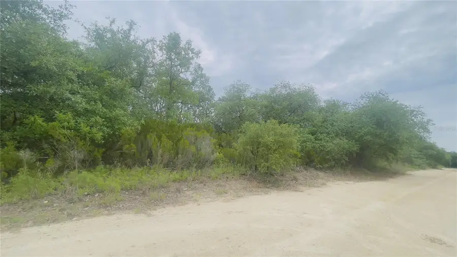 Lot 115 NE 87th Pl, Bronson, FL 32621 - Image #2