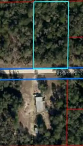 TBD NE 87th Place, BRONSON, FL 32621