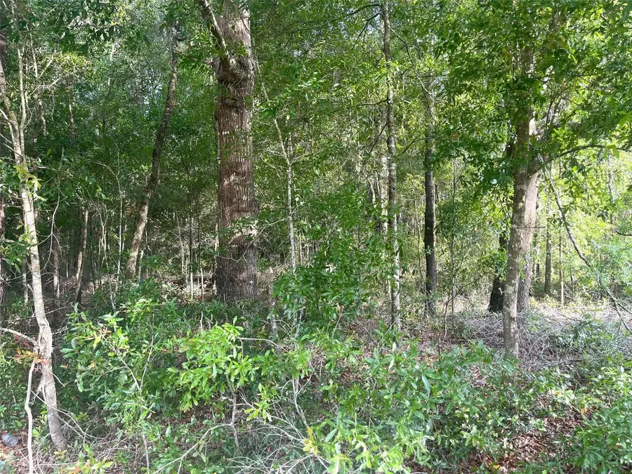 0000 NE 56th Street, High Springs, FL 32643 - Image #2