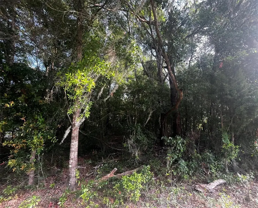 0000 NE 56th Street, High Springs, FL 32643 - Image #3