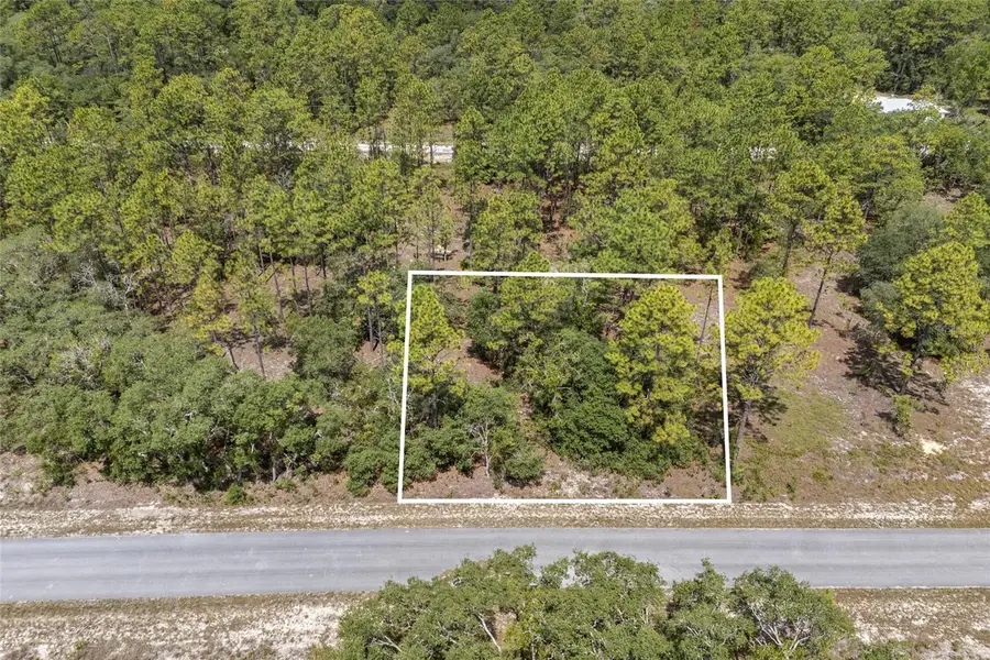 SW 134 Terrace, Dunnellon, FL 34431 - Image #2