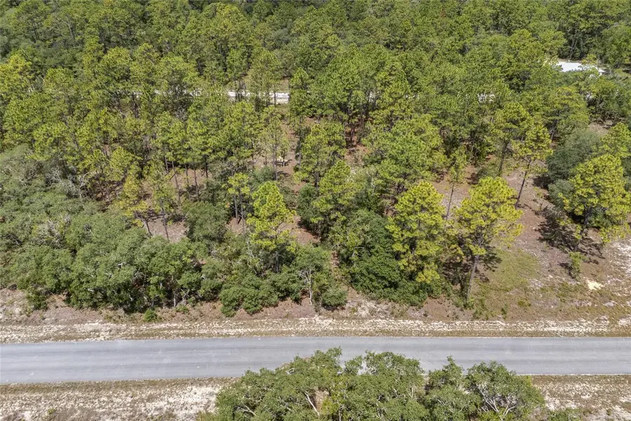 SW 134 Terrace, Dunnellon, FL 34431 - Image #3