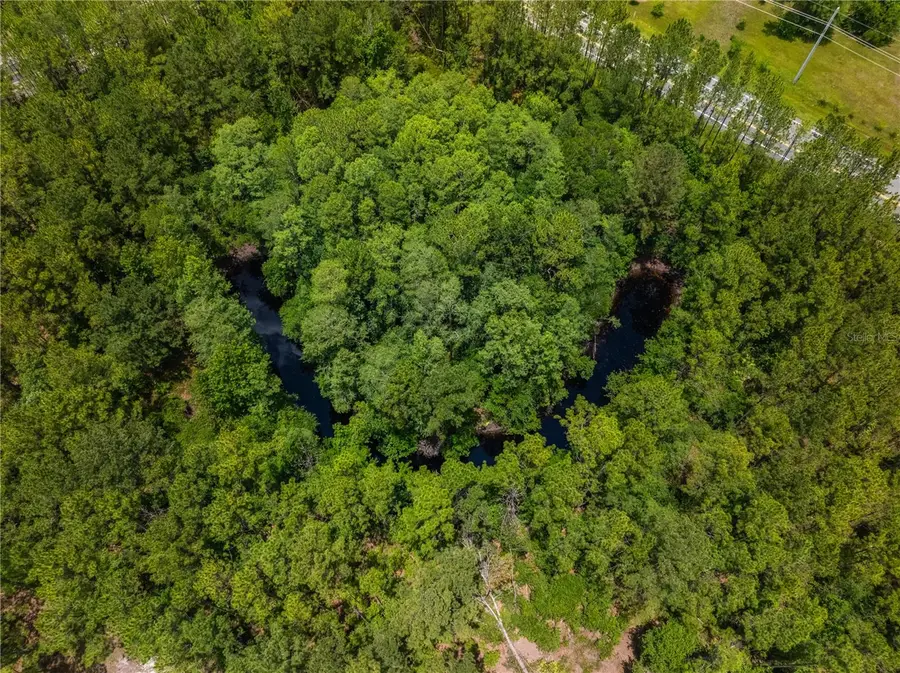 20399 SW State Road 235, Brooker, FL 32622 - Image #2