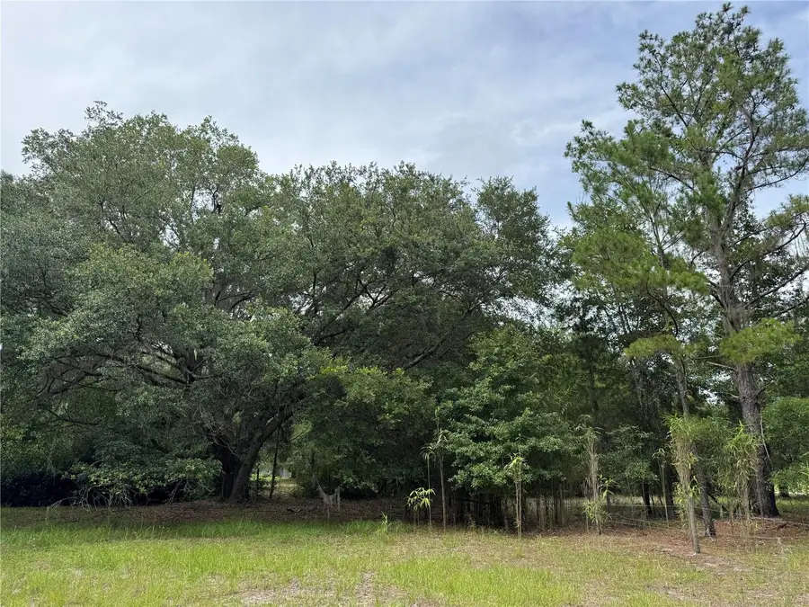 TBD NW 67th Boulevard, Alachua, FL 32615 - Image #3