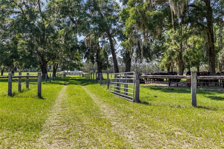 4639 SW Wilson Springs Road, Fort White, FL 32038 - Image #3