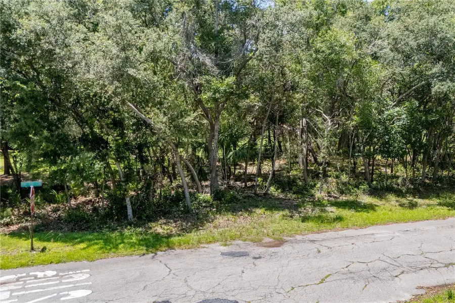 000 NW 110th Circle, Chiefland, FL 32626 - Image #2