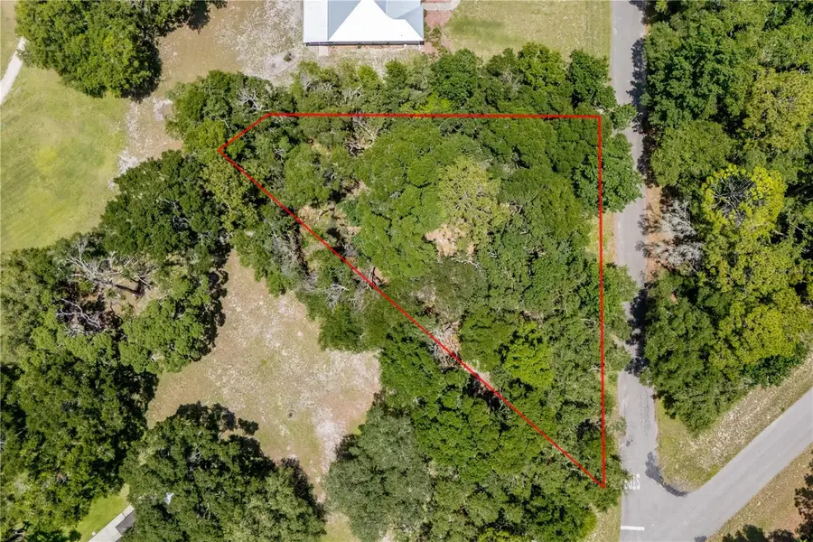 000 NW 110th Circle, Chiefland, FL 32626 - Image #3