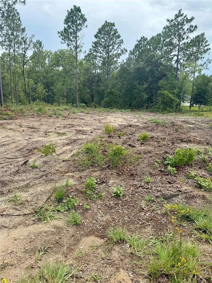 TBD NE 151st Terrace, Williston, FL 32696 - Image #1