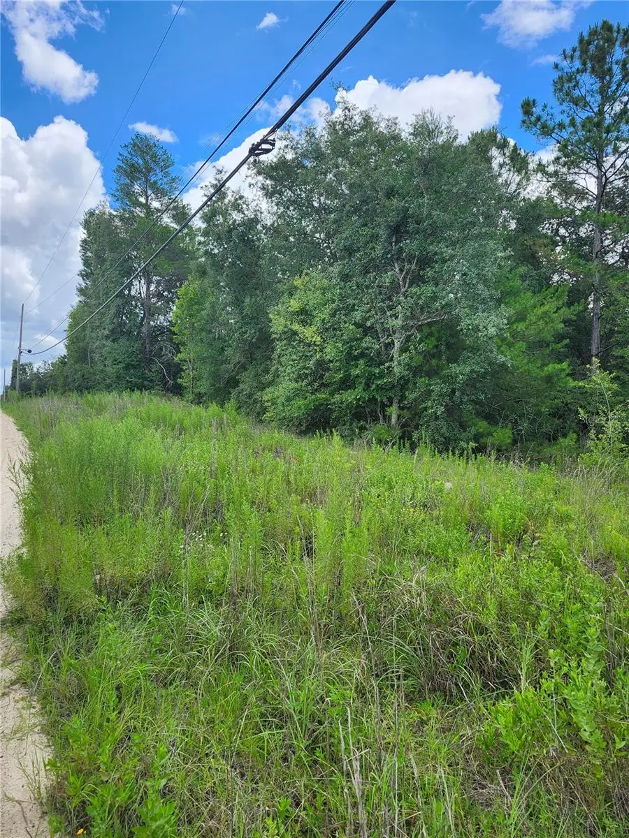 7649 Casa Grande, Keystone Heights, FL 32656 - Image #2