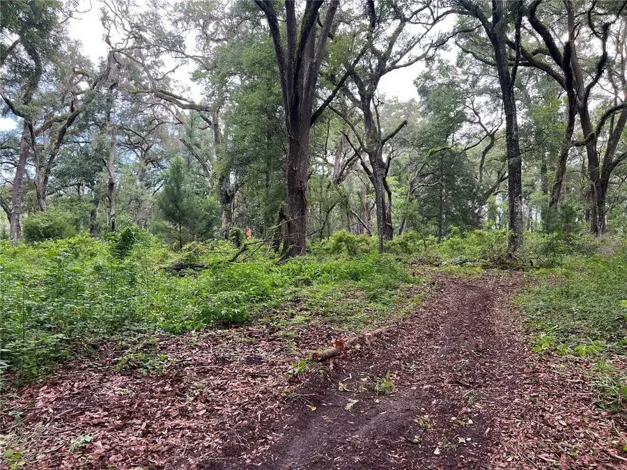 7606 SW 122nd Street, Gainesville, FL 32608 - Image #2