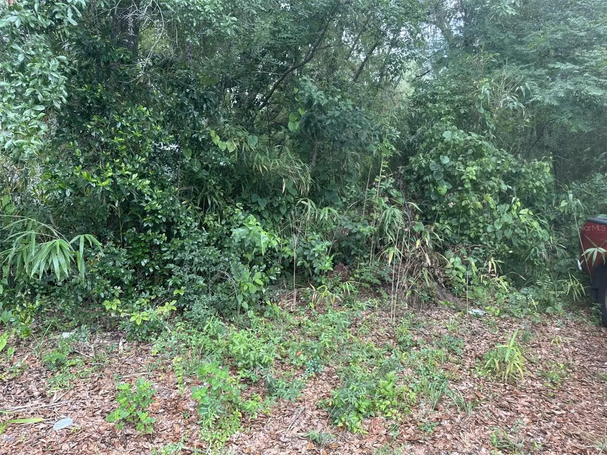 SE 4th Avenue, Gainesville, FL 32641 - #1