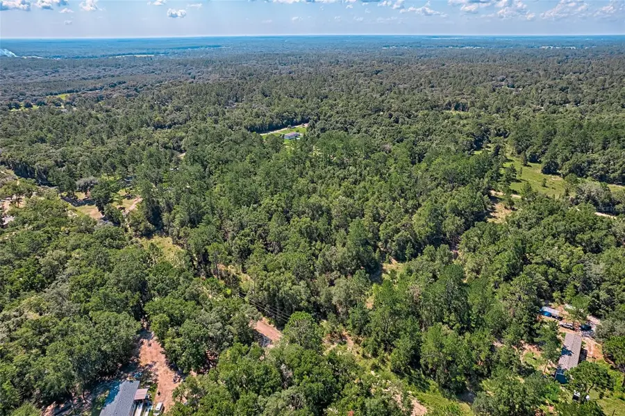 000 NE 83rd Lane, Bronson, FL 32621 - Image #3