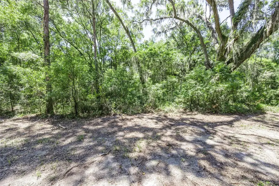 15009 NW 15th Place, Newberry, FL 32669 - Image #3