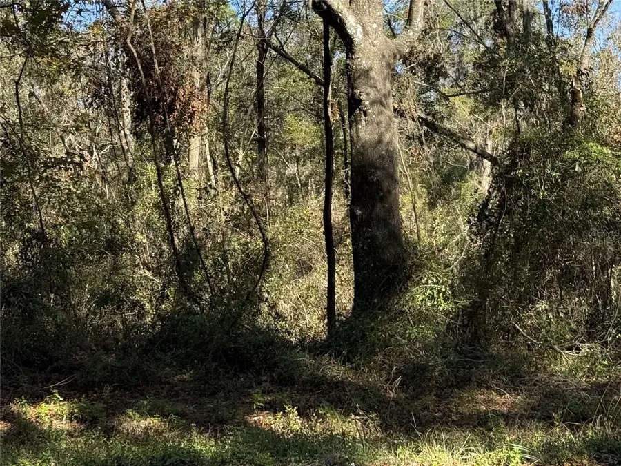TBD SE Cr 349, Lake City, FL 32025 - Image #2