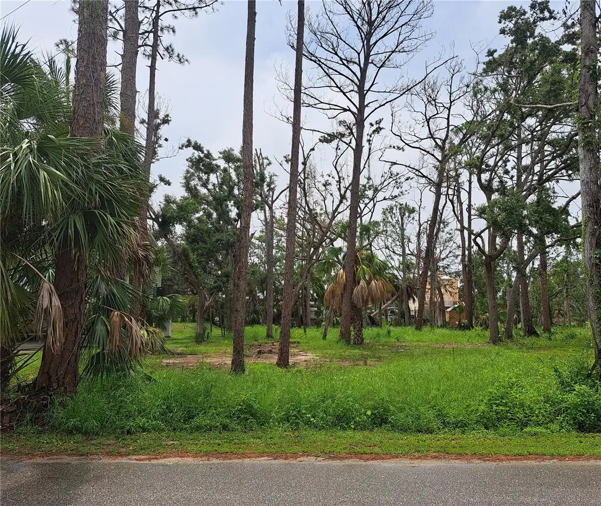 401 W 1st Street Nw #Lot 4, Steinhatchee, FL 32359 - Image #1