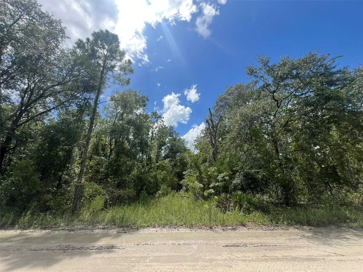 Lot 11 NW 11th Avenue, Bell, FL 32619 - Image #1