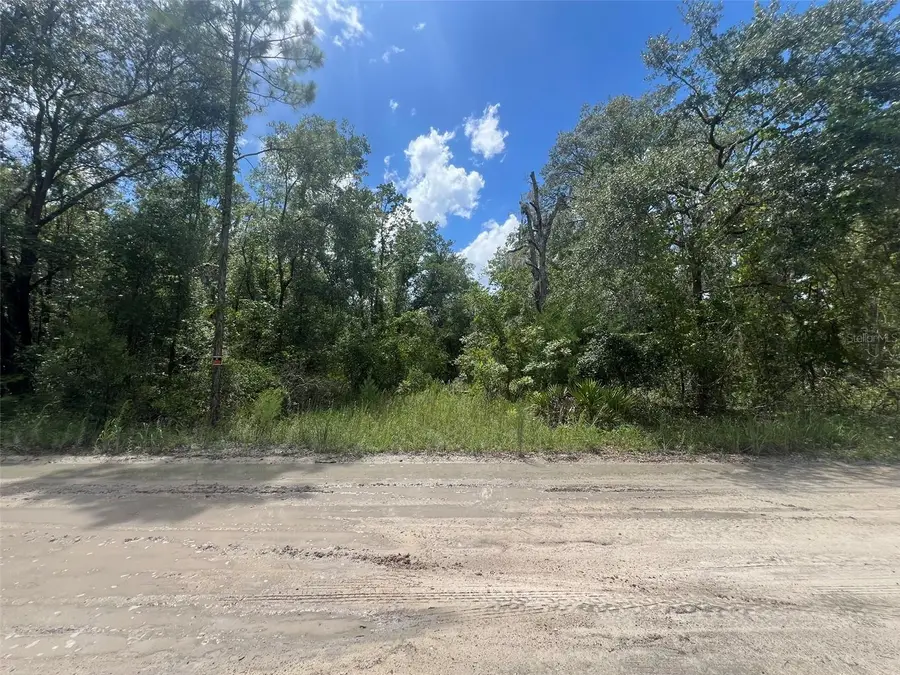 Lot 11 NW 11th Avenue, Bell, FL 32619 - Image #2
