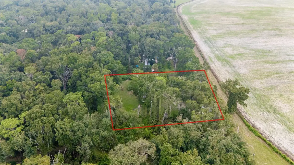 11790 NW 110th Avenue, Chiefland, FL 32626 - Image #1