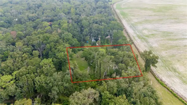 11790 NW 110th Avenue, CHIEFLAND, FL 32626